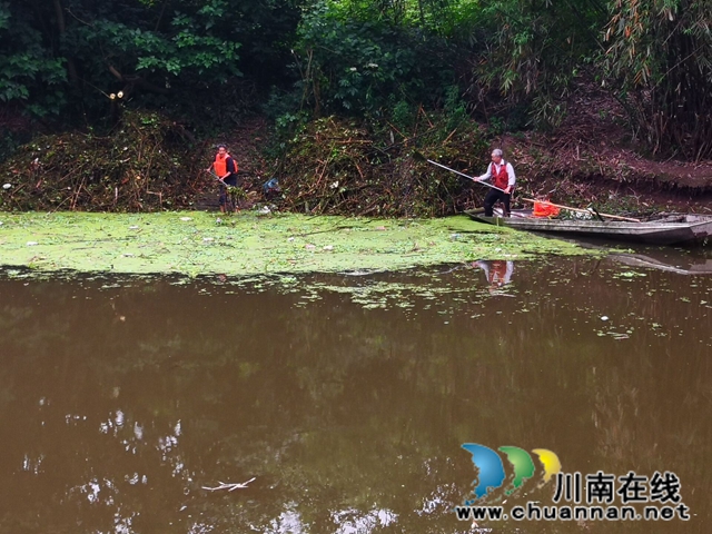 泸县玉蟾街道：狠抓河道整治 守护绿水青山(图14)