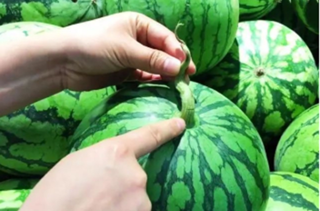 【分享】西瓜要挑“母”的？这样挑个个香甜可口！
