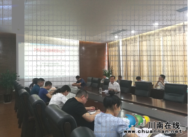 泸州市自然资源和规划局召开信息化管理工作推进会(图1)