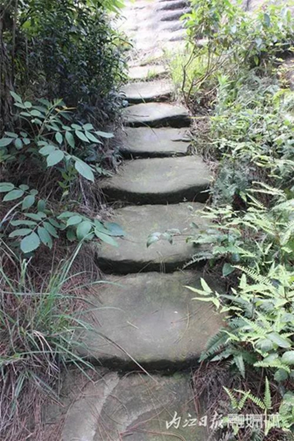 惊呆了！千年前，内江这里就有一条川南通成都的“高速路”(图5)