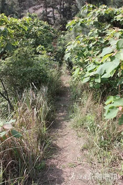 惊呆了！千年前，内江这里就有一条川南通成都的“高速路”(图7)