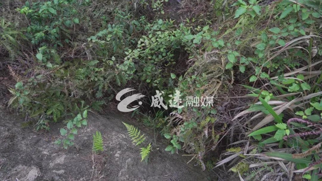 惊呆了！千年前，内江这里就有一条川南通成都的“高速路”(图10)