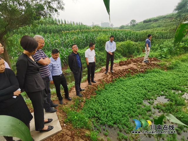 梁中元率队到泸县立石镇调研龙溪河河长制工作(图2)
