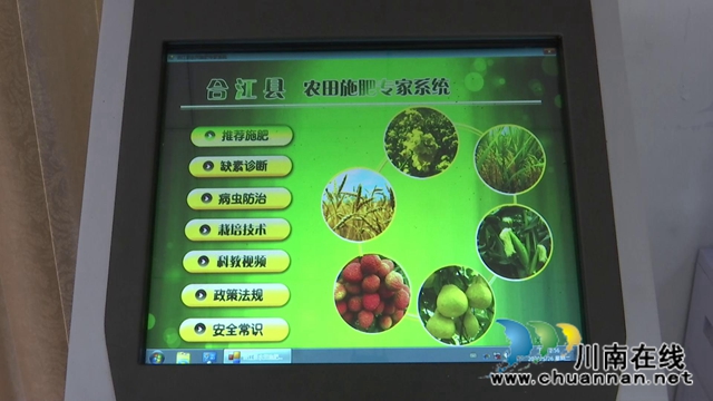 合江县真龙镇：有机肥做主导，农产品更绿色