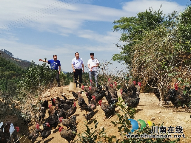 泸县喻寺镇：助人自助 周堰村驻村工作队造血式扶贫(图4)