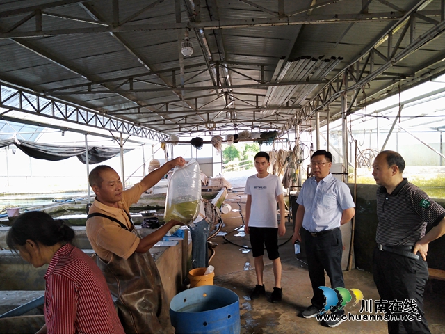 省农业农村厅到泸县开展水生动物疫病监测