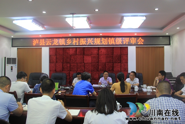 泸县云龙镇召开乡村振兴规划镇级评审会(图2)