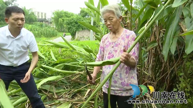 合江县鼓楼山村“海归”职业经理人邓启明：走出“小家”，心存“大家”