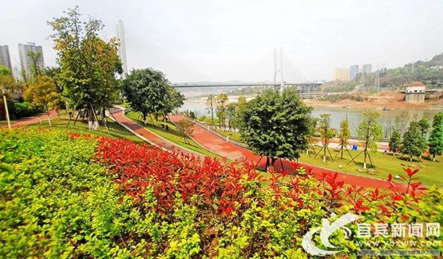 老旧小区、交通道路……共计40个项目！宜宾中心城区要“微规划”(图1)