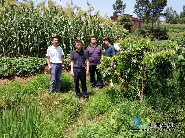 泸县目督办到潮河镇开展水产养殖环保检查
