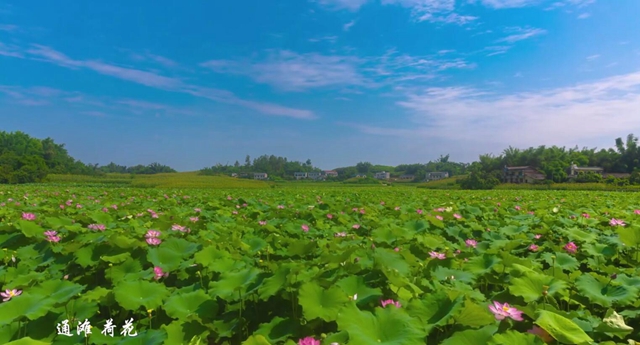 行走江阳｜三十秒带你看绝美的光影