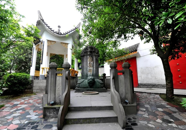 幸福江阳 举杯世界丨醉在老窖(图15)