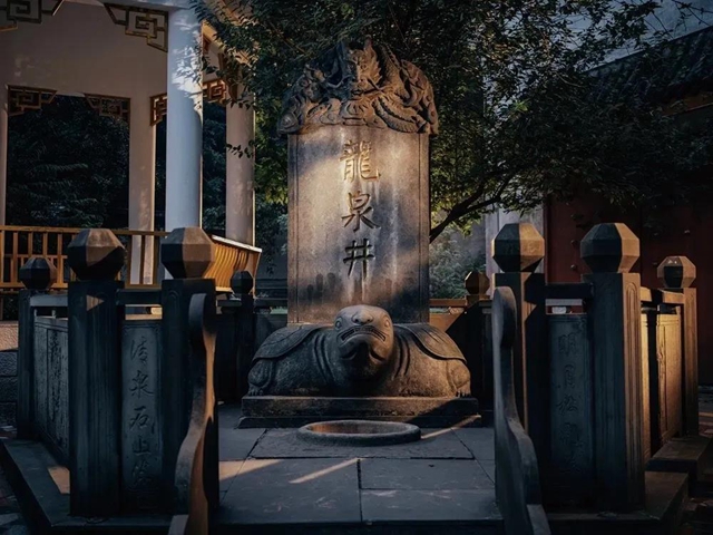 幸福江阳 举杯世界丨醉在老窖(图14)
