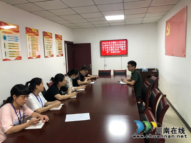 龙马潭区小市街道合道街社区两新党支部举办庆祝建党99周年活动