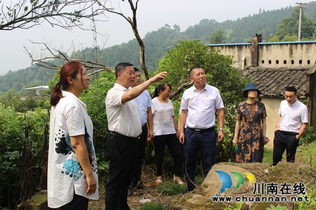 杨双全到泸县玉蟾街道督导脱贫攻坚工作
