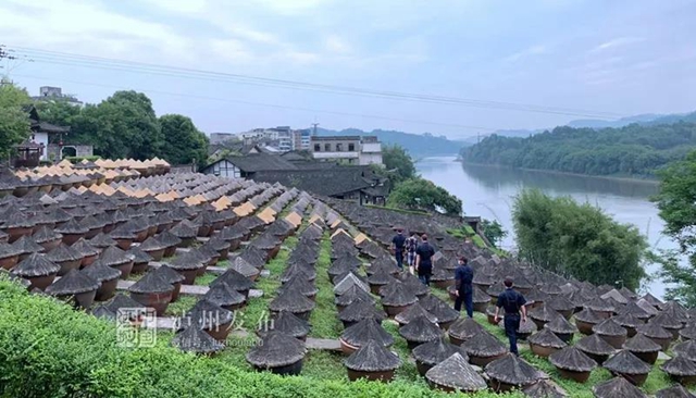 合江、隆昌、翠屏区入选成渝地区双城经济圈建设县域集成改革首批试点名单(图4)