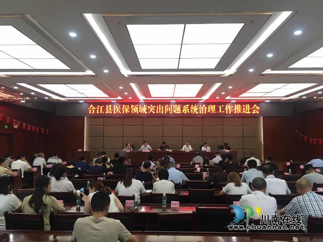 合江县召开医保领域突出问题系统治理工作推进会