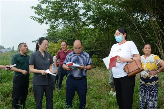 江阳法院巡回审判：林地里走来“亲切法官”！(图5)