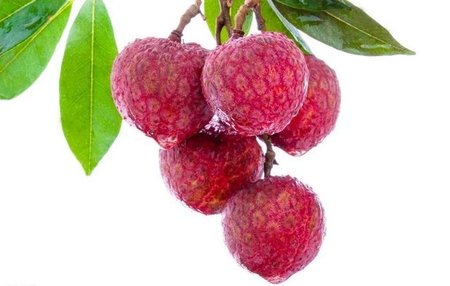 【分享】荔枝吃到饱，结果……