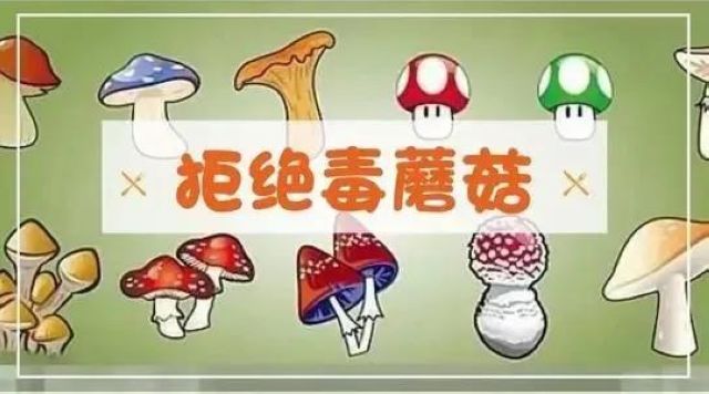 【紧急扩散】蘑菇中毒频发，这几类千万要小心！(图6)