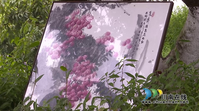 当代画家陈文士来合江采风 用纸笔绘出丹荔果飘香