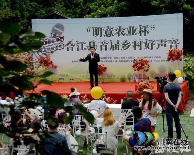 合江县百年荔枝林飘出乡村好声音