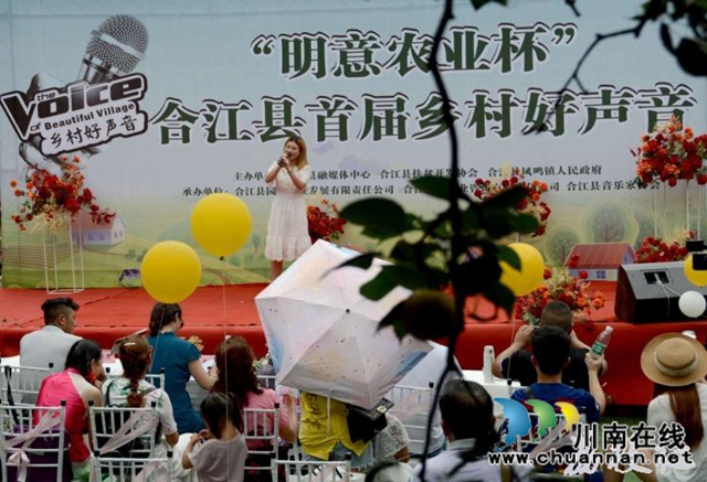 合江县百年荔枝林飘出乡村好声音(图4)