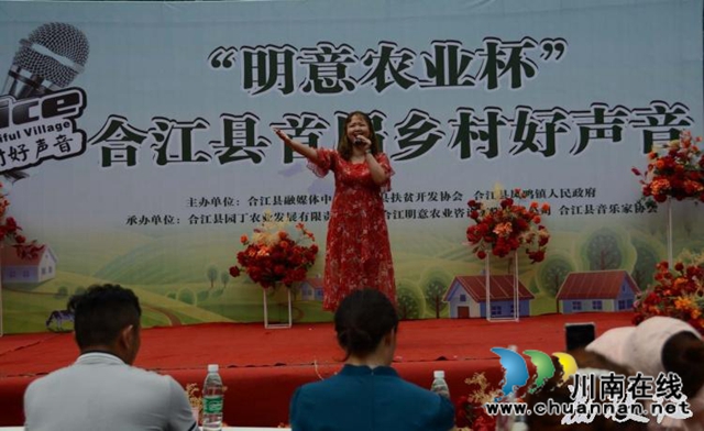 合江县百年荔枝林飘出乡村好声音(图3)