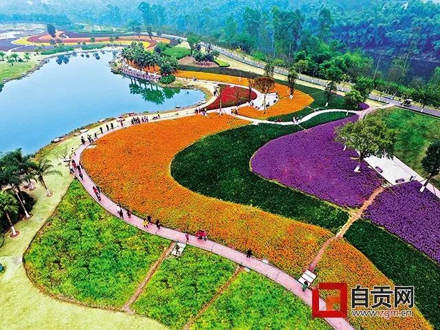 一起去爬山吗？自贡主城区又添一条登山步道(图2)