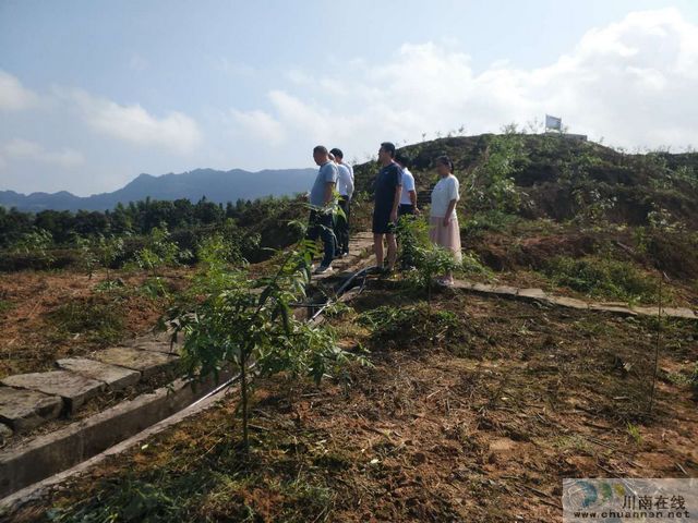 合江县委书记李仁军深入先滩镇调研脱贫攻坚工作(图2)