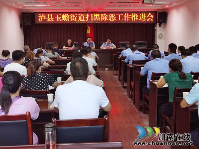泸县玉蟾街道召开“慧眼工程”建设工作推进会