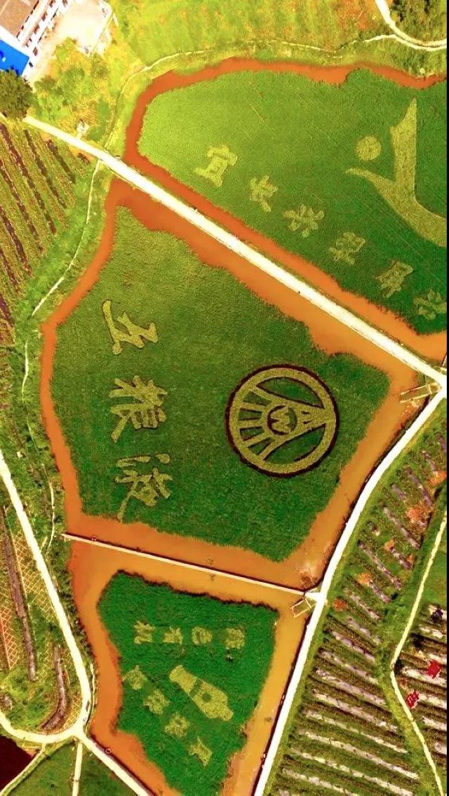 建成成渝地区经济副中心，宜宾明确10项重点任务！涉及这些内容(图7)