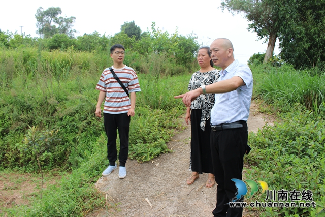 泸县玉蟾街道开展面源污染治理专项检查