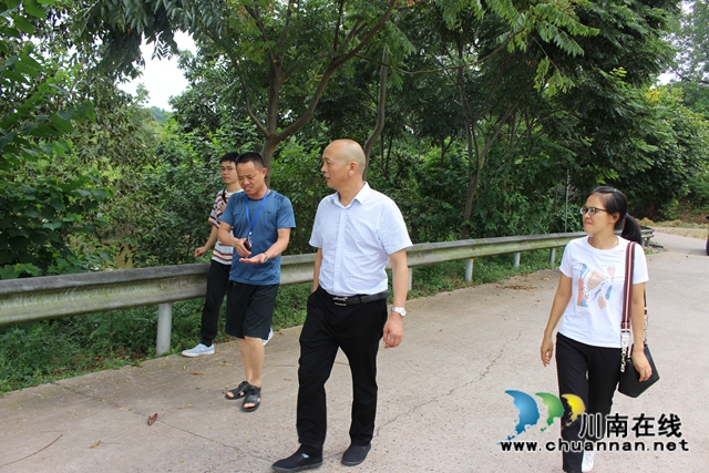泸县玉蟾街道开展面源污染治理专项检查(图2)