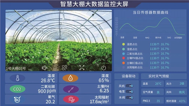 内江高科技！一部手机“种”庄稼