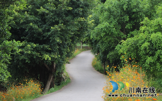 泸县玉蟾街道龙朝村：精准施策，助力贫苦户走上脱贫路