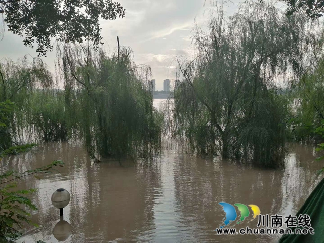 退了！长江洪峰顺利过境泸州(图2)