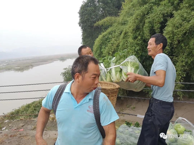 点赞！宜宾三名大学生向泥溪捐赠1000斤新鲜蔬菜(图4)