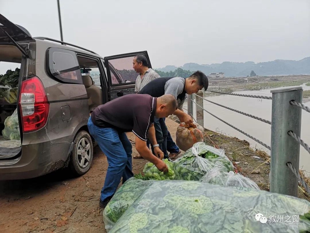 点赞！宜宾三名大学生向泥溪捐赠1000斤新鲜蔬菜(图2)