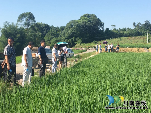 扎实做好基层工作，合江县白米镇有妙招(图1)