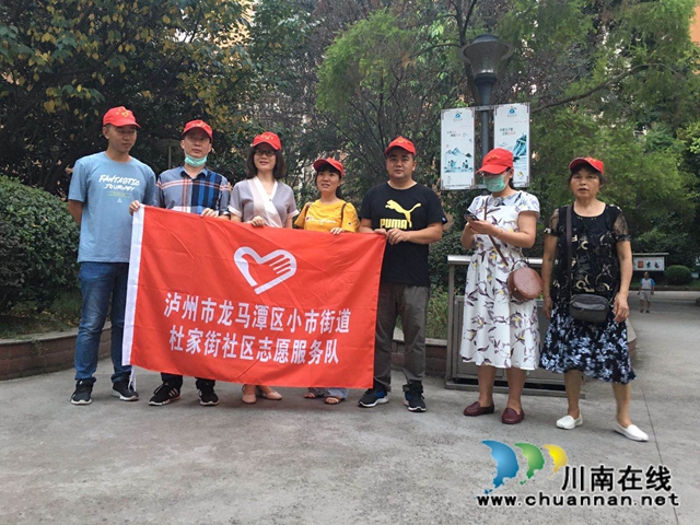 龙马潭区小市街道开展全国文明城市建设入户宣传活动(图1)