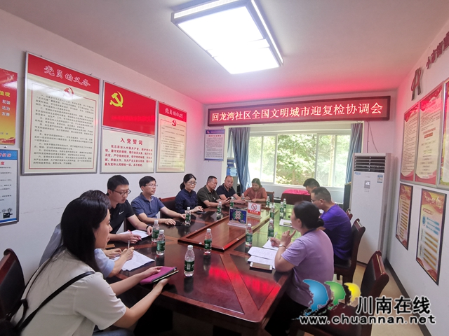 周岚到龙马潭区小市街道包保社区参加文明城市迎检工作(图1)