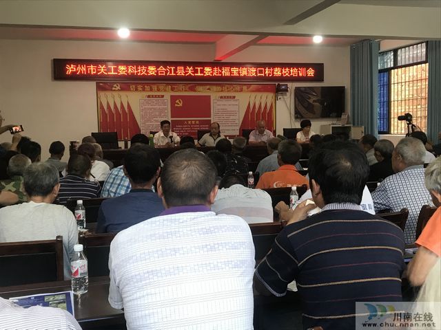 泸州市关工委科技委到福宝镇开展荔枝秋季管理技术培训(图1)