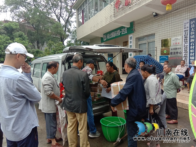 泸县太伏镇大力发展荷兰豆种植助力脱贫攻坚(图1)