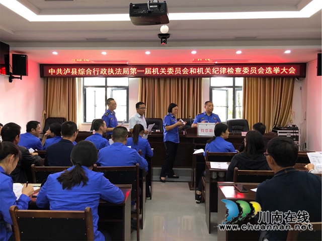 泸县综合行政执法局圆满完成机关党委第一届选举工作(图9)