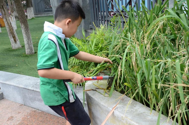 教育部要求学校食堂改进菜品口味！鼓励这样收费……(图4)