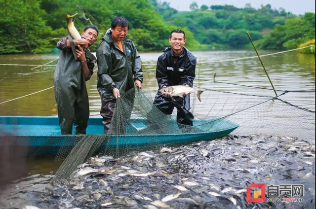 丰收啦！被这组盐都农民的笑脸暖化(图10)