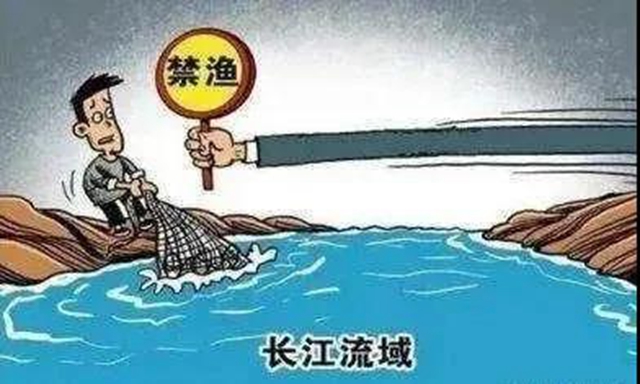 泸县一胆大个体户网上销售长江鱼，严打没商量！
