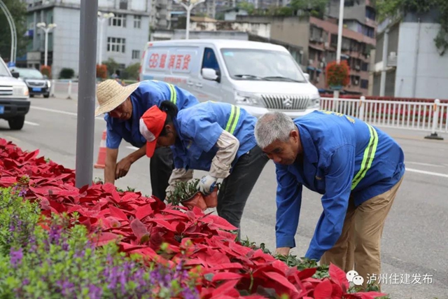 “仪式感”爆棚 | 85万盆鲜花扮靓酒城(图5)