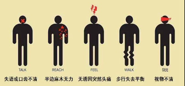 【扩散】针眼大的口子，就能检查脑血管病？(图3)